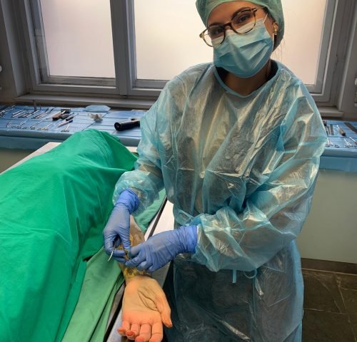 percurso-profissional-dra-silvia-dionisio-12